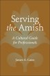 Serving the Amish (eBook, ePUB) - Bild 1