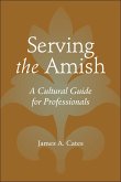 Serving the Amish (eBook, ePUB)