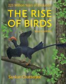 Rise of Birds (eBook, ePUB)