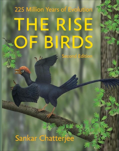 Rise of Birds (eBook, ePUB) Rise of Birds (eBook, ePUB)