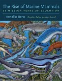 Rise of Marine Mammals (eBook, ePUB)
