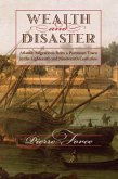 Wealth and Disaster (eBook, ePUB)