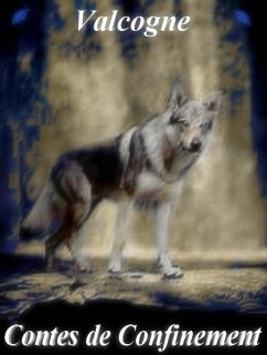 Cover Contes de Confinement (eBook, ePUB)