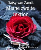 Meine zweite Lektion (eBook, ePUB)