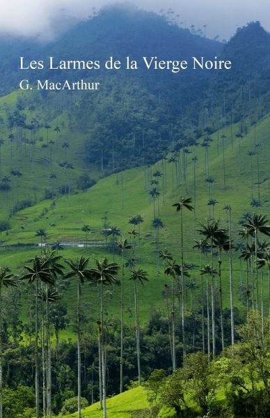 Les Larmes de la Vierge Noire (eBook, ePUB)