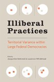 Illiberal Practices (eBook, ePUB)
