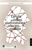 Captura del Estado, macrocriminalidad y derechos humanos (eBook, ePUB)