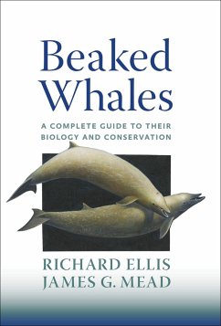 Beaked Whales (eBook, ePUB) - Ellis, Richard