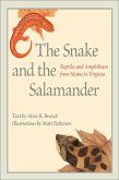 Snake and the Salamander (eBook, ePUB)