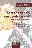 Sector privado como sociedad civil (eBook, ePUB)