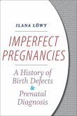 Imperfect Pregnancies (eBook, ePUB) Imperfect Pregnancies (eBook, ePUB)