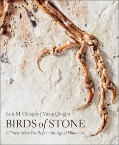 Birds of Stone (eBook, ePUB) - Chiappe, Luis M.