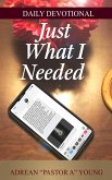 Just What I Needed (eBook, ePUB)