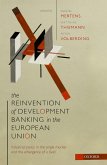 The Reinvention of Development Banking in the European Union (eBook, PDF)