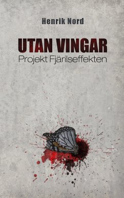 Utan vingar (eBook, ePUB)