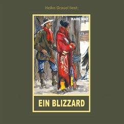 Ein Blizzard (MP3-Download) Cover Ein Blizzard (MP3-Download)