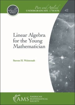 Linear Algebra for the Young Mathematician - Weintraub, Steven H.