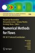 Numerical Methods for Flows - Bild 1