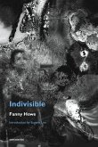 Indivisible, new edition (eBook, ePUB)