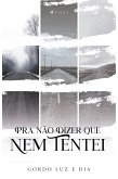 Pra Não Dizer Que Nem Tentei (eBook, ePUB)