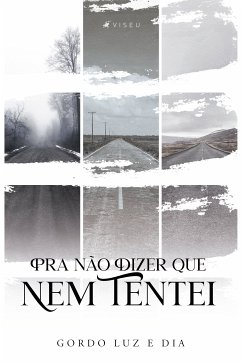 Pra Não Dizer Que Nem Tentei (eBook, ePUB) - dia, Gordo luz e