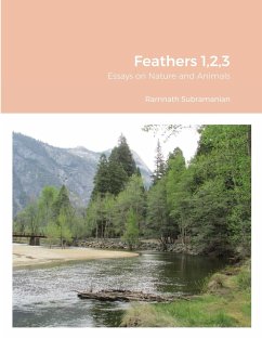 Feathers 1,2,3 - Subramanian, Ramnath