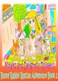 Minako and Delightful Rolleen's Bunny Rabbit Rescue Adventure Book 2 (eBook, ePUB)