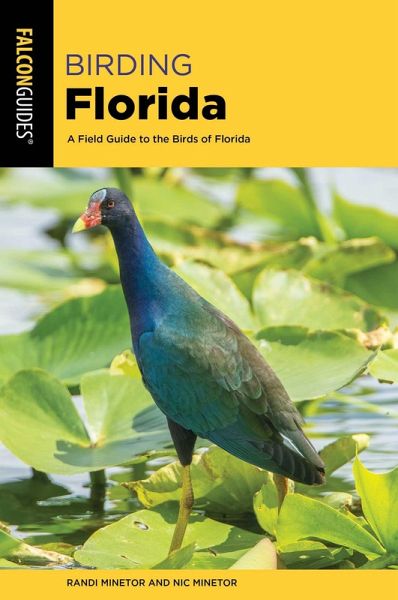Birding Florida (eBook, ePUB)
