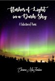 Flashes of Light in a Dark Sky (eBook, ePUB) Flashes of Light in a Dark Sky (eBook, ePUB)