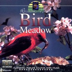 Bird Meadow - Eric Bernard