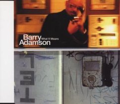 What It Means - Barry Adamson