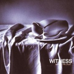 Before The Calm - Witness