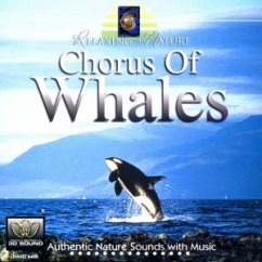 Chorus Of Whales