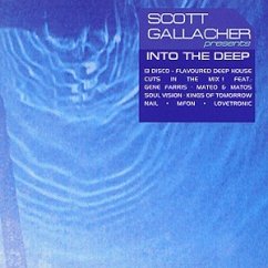 Scott Gallacjer Pres.Into The - Deep House 3 (2000, Promo, cardsleeve)