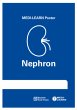 Nephron-Poster - Bild 1