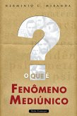 O que é fenômeno mediúnico (eBook, ePUB) O que é fenômeno mediúnico (eBook, ePUB)
