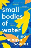 Small Bodies of Water (eBook, ePUB)