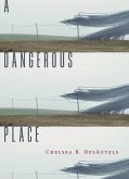 A Dangerous Place (eBook, ePUB)