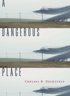 A Dangerous Place (eBook, ePUB) - Desautels, Chelsea B.