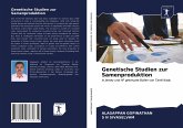 Genetische Studien zur Samenproduktion