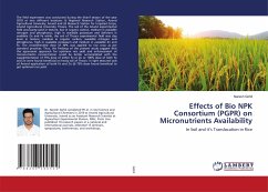 Effects of Bio NPK Consortium (PGPR) on Micronutrients Availability