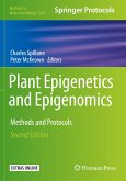 Plant Epigenetics and Epigenomics