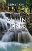 All In One (eBook, ePUB)