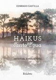 Haikus del canto y del agua (eBook, ePUB)