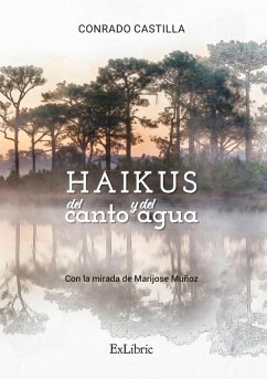 Haikus del canto y del agua (eBook, ePUB) - Castilla, Conrado
