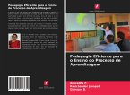 Pedagogia Eficiente para o Ensino do Processo de Aprendizagem