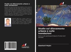 Cover Studio sul dilavamento urbano e sulle inondazioni