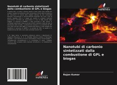 Nanotubi di carbonio sintetizzati dalla combustione di GPL e biogas - Kumar, Rajan