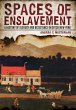 Spaces of Enslavement (eBook, ePUB) - Bild 1