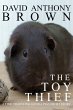 The Toy Thief: A Time Traveling Guinea... - Bild 1